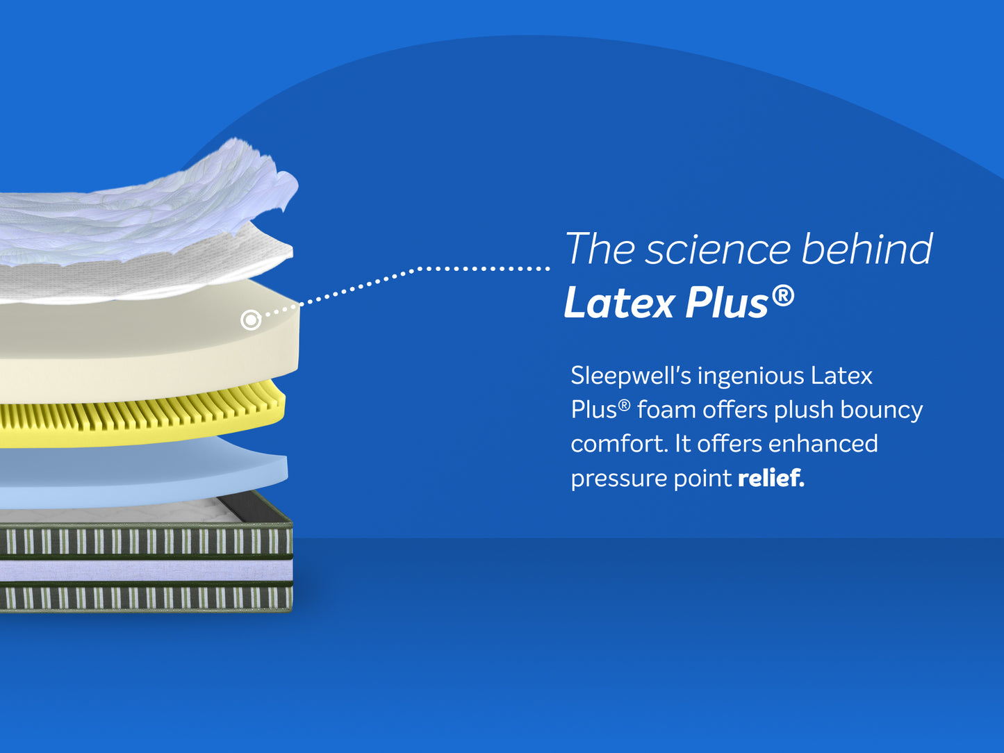 PRO LATEX PLUS ROYALE